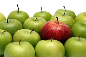 Image showing different concepts with apples