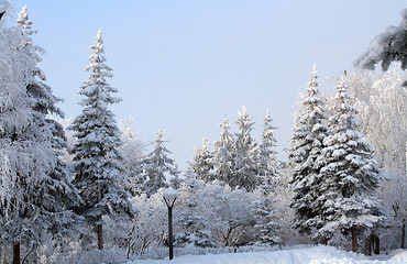 Image showing snow winter park