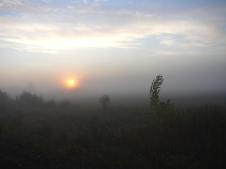 Image showing sunrise in the fog fog