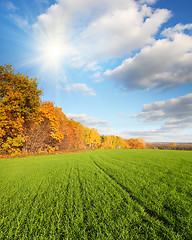 Image showing autumn landscape with green field