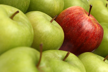 Image showing different concepts with apples