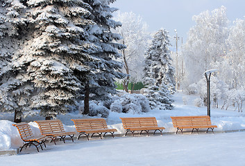 Image showing benchs in snow winter park