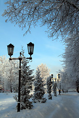 Image showing lantern in snow winter park
