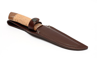 Image showing hunting knife in leather sheath