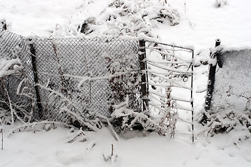 Image showing gate and fence in snow