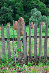 Image showing Haystacks behind a wooden fence