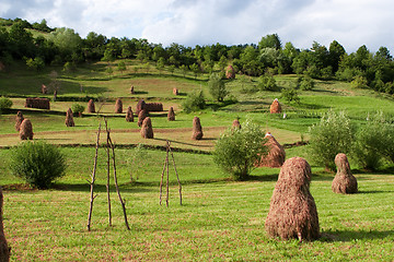 Image showing Haystacks