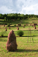 Image showing Haystacks