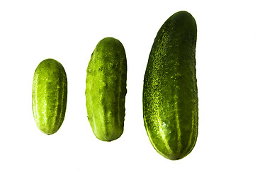 Image showing Different cucumbers