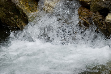 Image showing close-up of the river