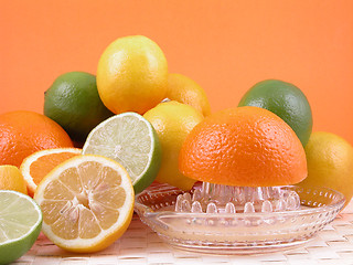 Image showing citrus squeezer