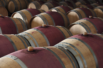 Image showing Wine barrels