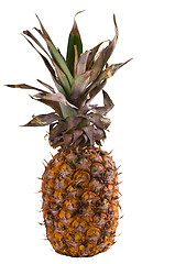 Image showing Pineapple