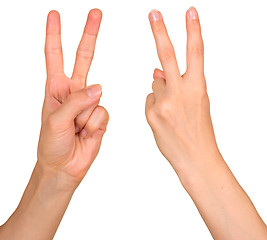 Image showing Victory gesture 