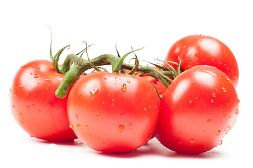 Image showing Tomatoes