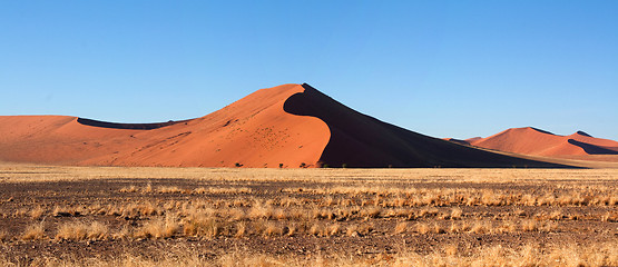 Image showing red dunes of sossusvlei