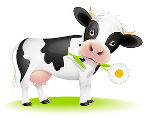 Image showing Little cow eating daisy