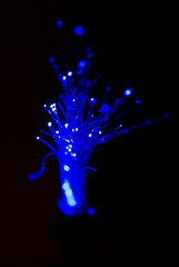 Image showing Fibre optics