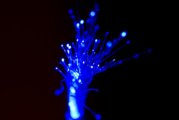 Image showing Fibre optics