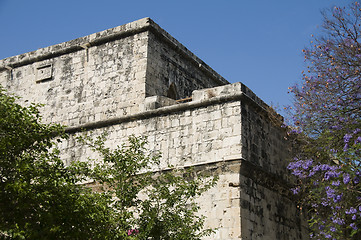 Image showing historic Limassol Lemessos Castle flowering shrub plant Cyprus M