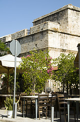 Image showing historic Limassol Lemessos Castle flowering shrub plant Cyprus M