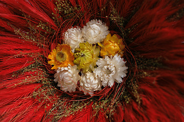 Image showing flower background