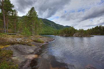 Image showing Norwegian woods