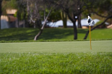 Image showing Putting green