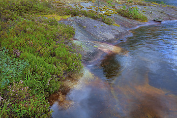 Image showing Norwegian woods