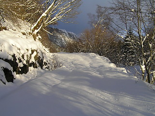 Image showing Norwegian winter landscape