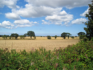 Image showing Autumn Scene