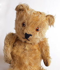 Image showing 1950 teddy bear