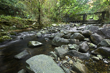 Image showing Cascade falls over mossy rocks