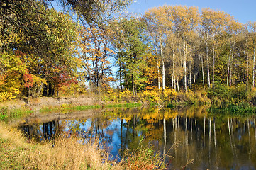 Image showing Autumn forest and river