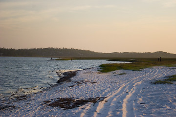 Image showing Quad bike Mozambique