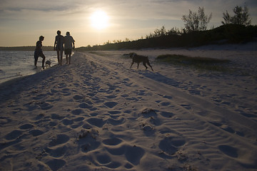 Image showing Sunset walk Mozambique