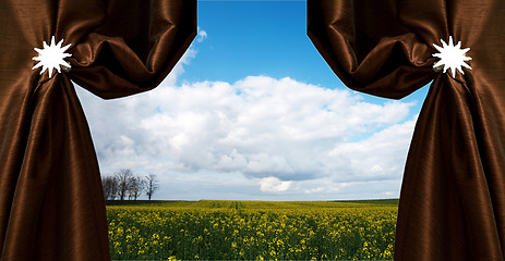 Image showing Beautiful rapeseed field