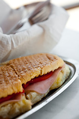 Image showing Delicious toasted sandwich