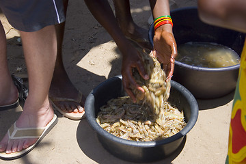 Image showing Washing prawns in rural market