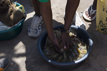 Image showing Washing prawns in rural market