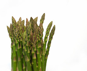 Image showing asparagus bunch