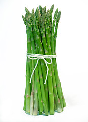 Image showing asparagus bunch - tied