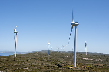 Image showing Albany: windmill park