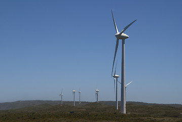 Image showing Albany:  row of windmills