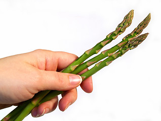 Image showing asparagus spears in hand