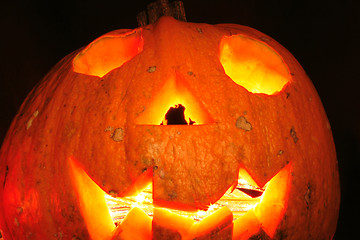 Image showing halloween pumpkin