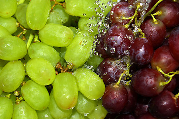 Image showing rinsing green and red grapes