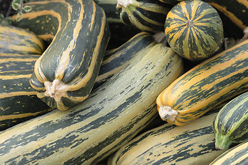 Image showing pumpkins background