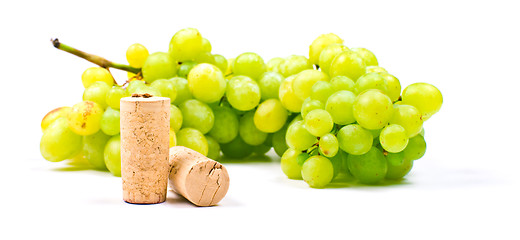 Image showing Grape and corks