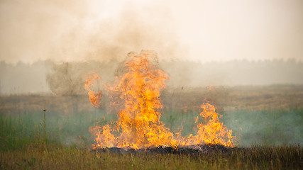 Image showing Disaster area